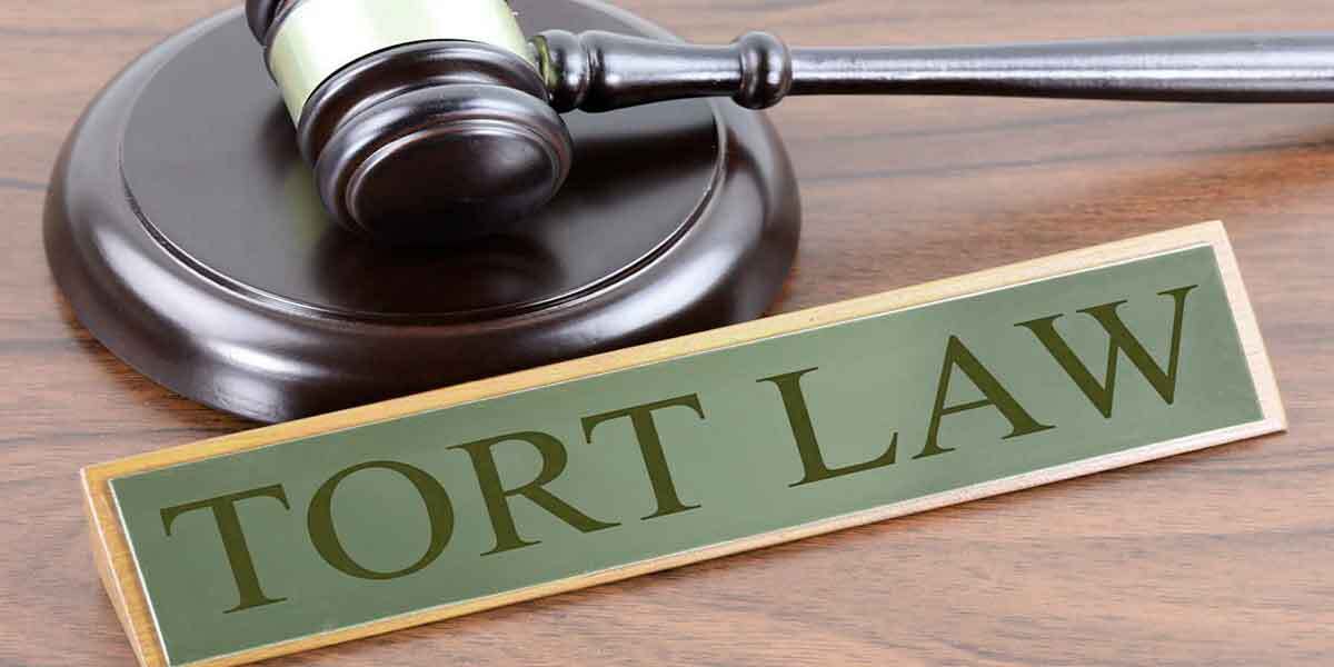 You are currently viewing Business Law: Torts and types of torts