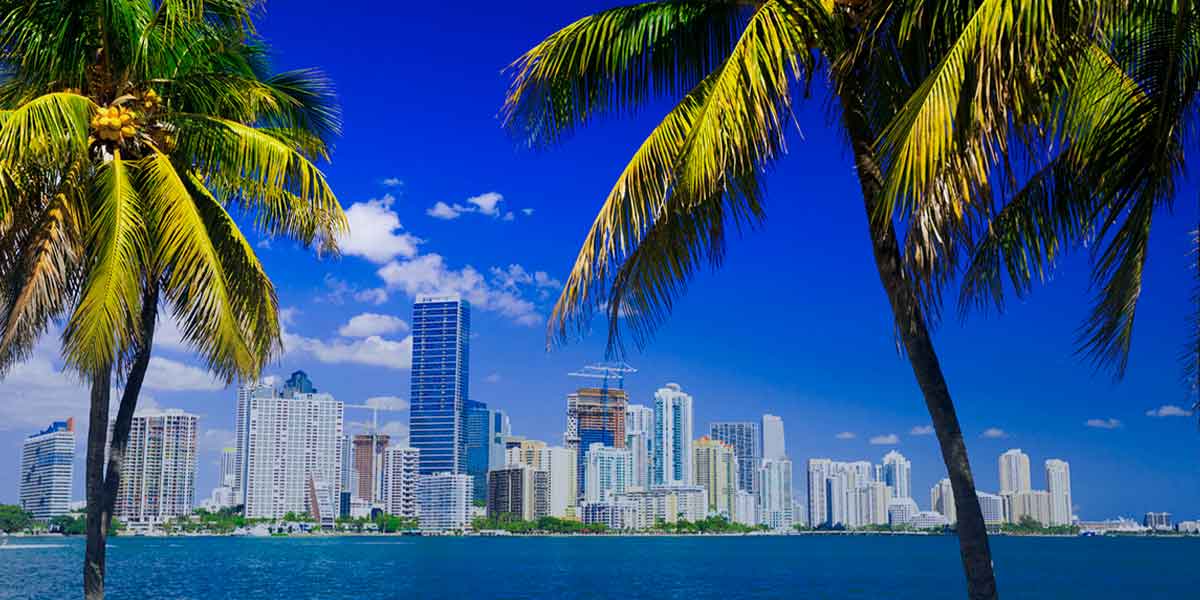 You are currently viewing Estate planning attorney Miami FL